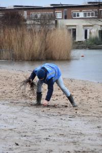 Nieuwjaarsduik Houten 2024